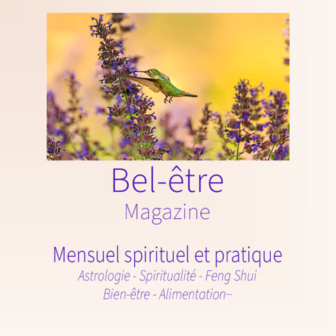 1 photo magazine bel être