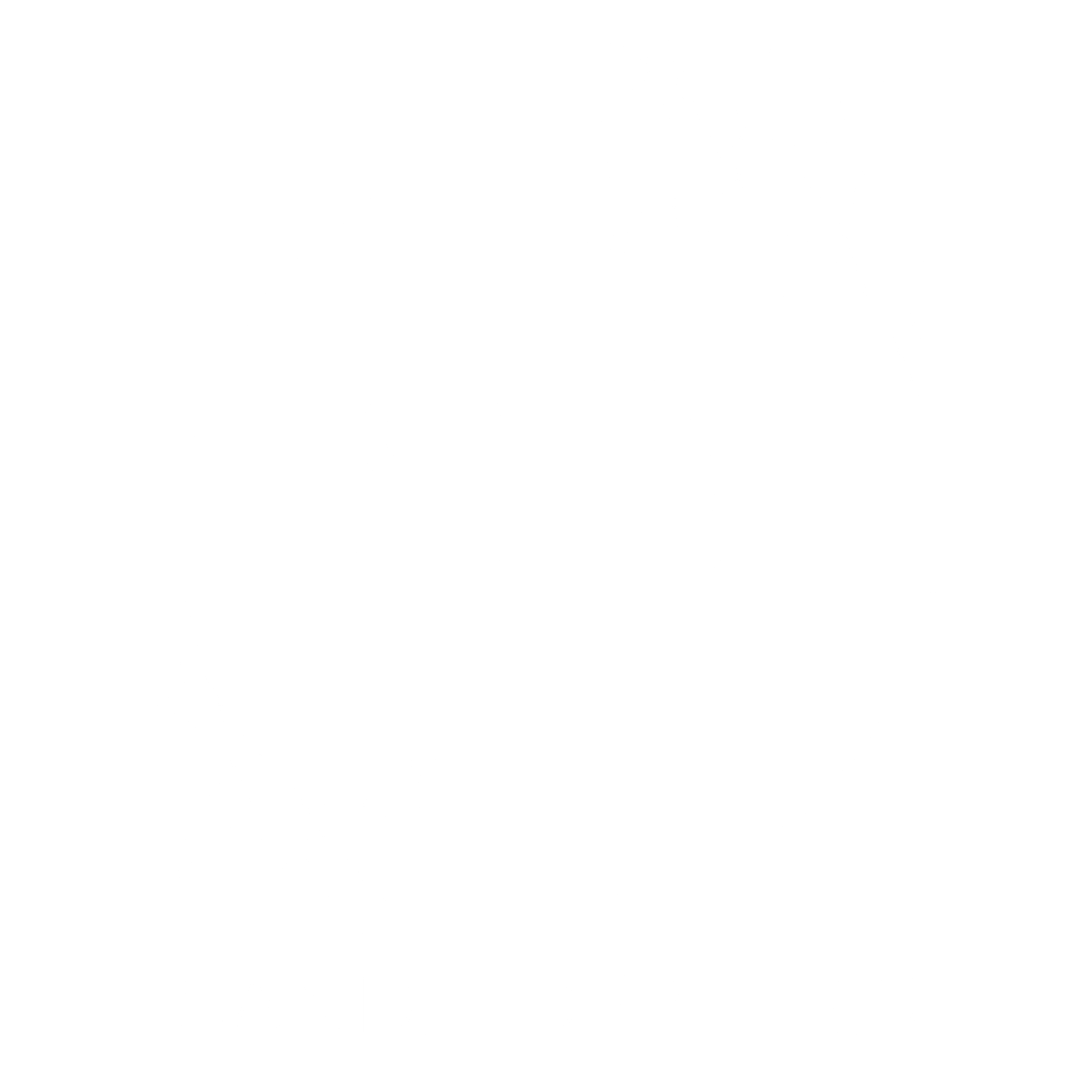 Sd logo transparent png